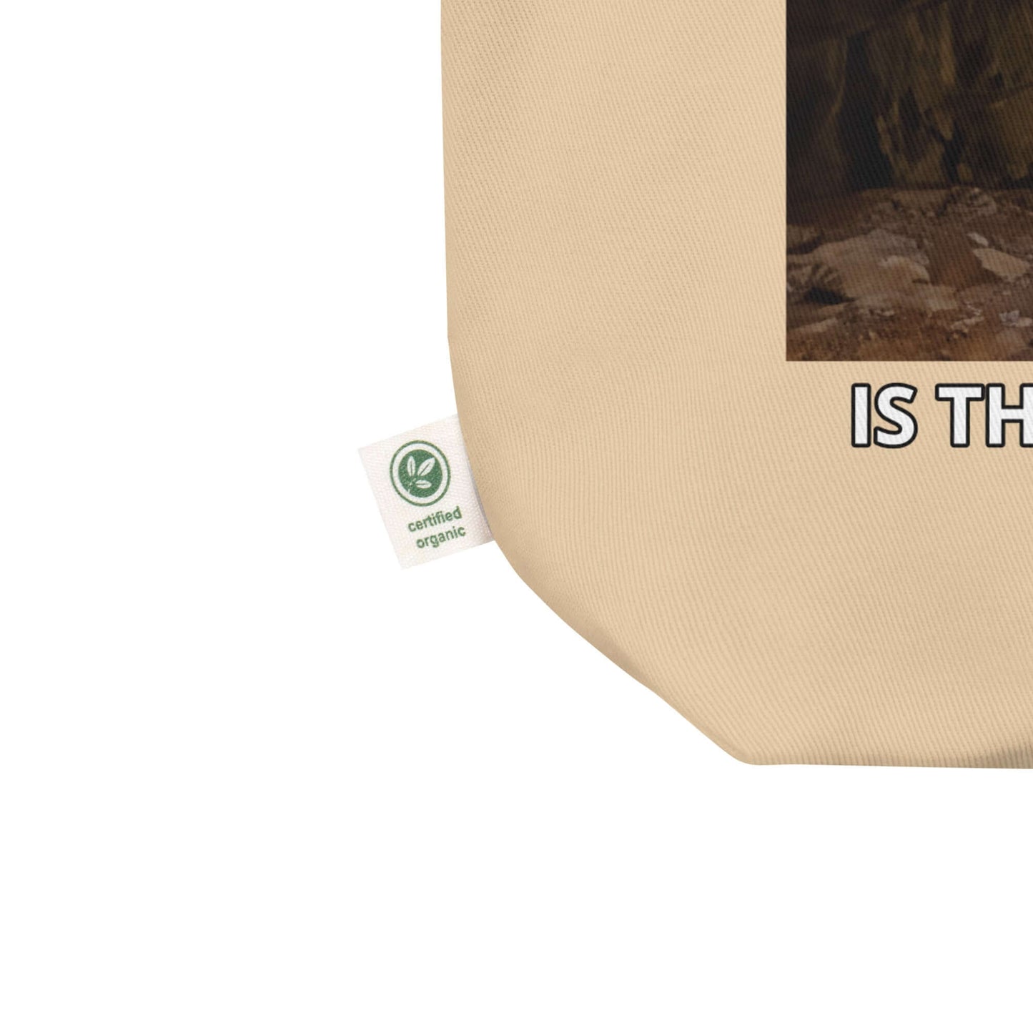 Plato: is this the real life? - Eco Tote Bag