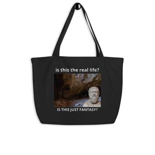 Plato: Is this the real life? - Large organic tote bag