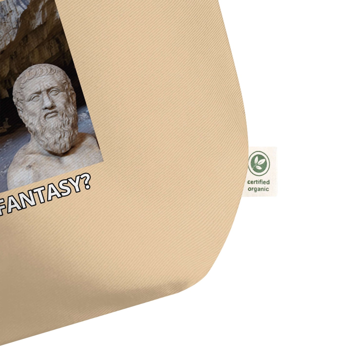 Plato: Is this the real life? - Large organic tote bag