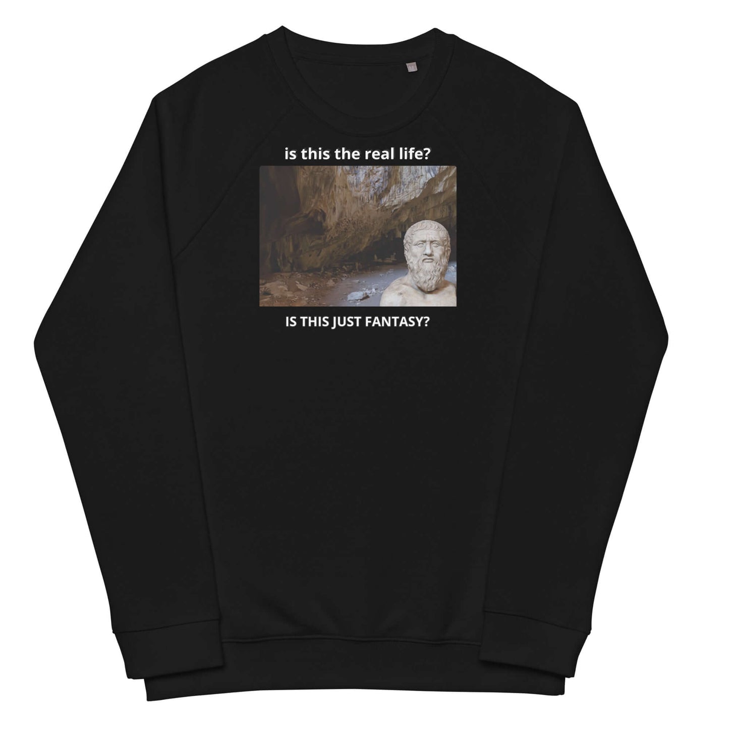 Plato: is this the real life? - Unisex organic raglan sweatshirt